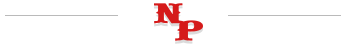 NP small logo